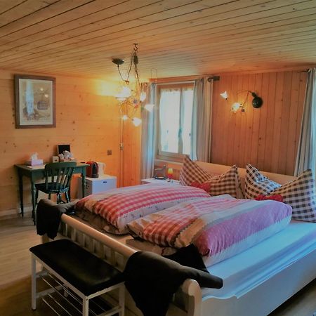 B&B Rosaly Chateau-d'Oex Zewnętrze zdjęcie